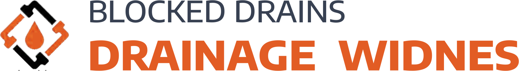 website logo